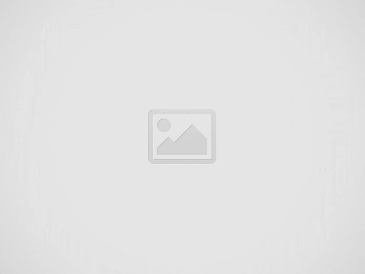 creation site internet WordPress Limoges